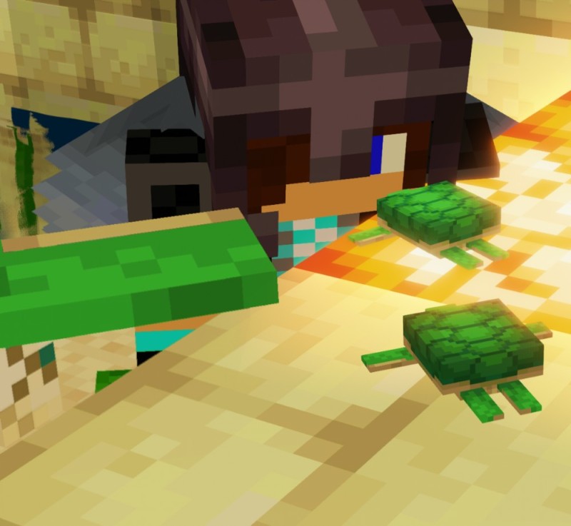 Create meme: minecraft survival , minecraft griefer, minecraft turtle