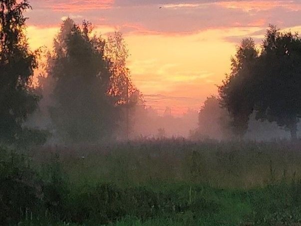 Create meme: dawn morning, morning fog , morning sunrise