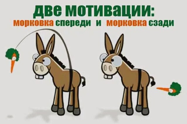 Create meme: a donkey with a carrot, a donkey with a carrot in front and behind, carrot in front and carrot in back motivation