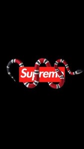 Create meme: gucci supreme Wallpaper, Wallpaper supreme gucci, logo Gucci Supreme