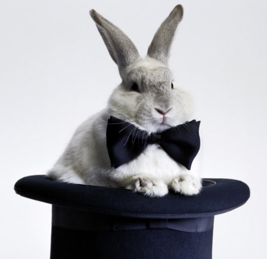 Создать мем: прикольный кролик, кролик в шляпе, кролик из шляпы