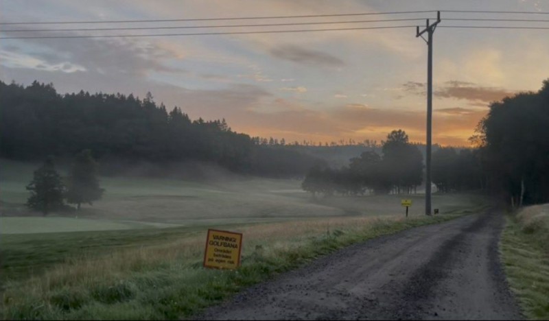 Create meme: forest fog, fog in summer, landscape road