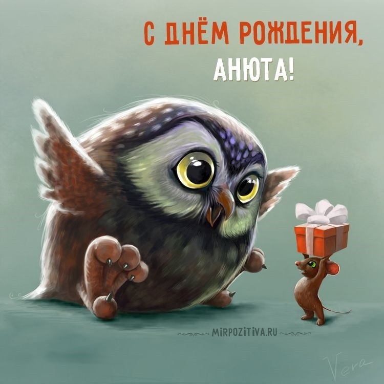 Create meme: the owl is cute, owl wishes you a happy birthday, funny greeting with an owl