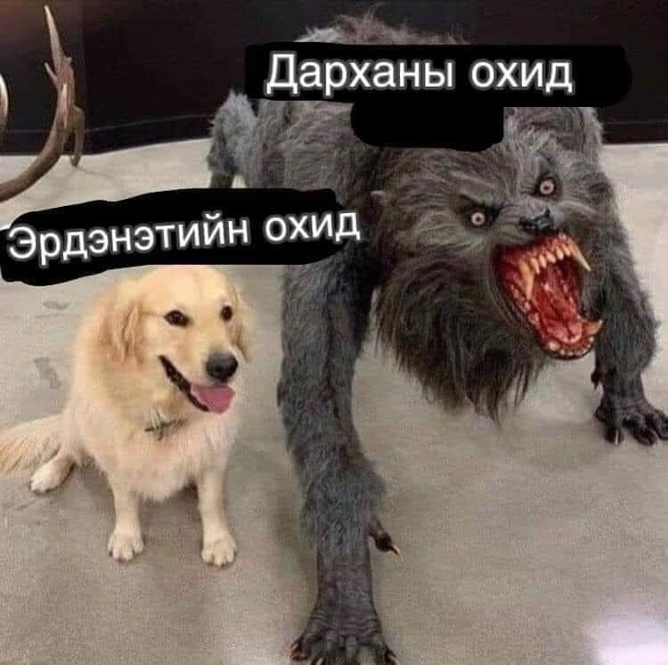 Create meme: dog , dog and monster meme, the dog and the werewolf meme