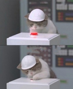 Create meme: meme cat, cat, cat in a helmet meme