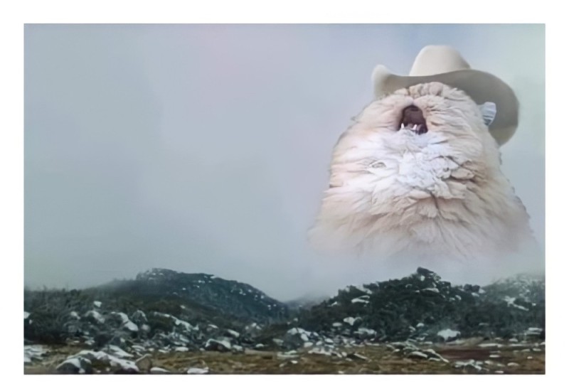 Create meme: screaming cat , the screaming cat meme, screaming cat meme