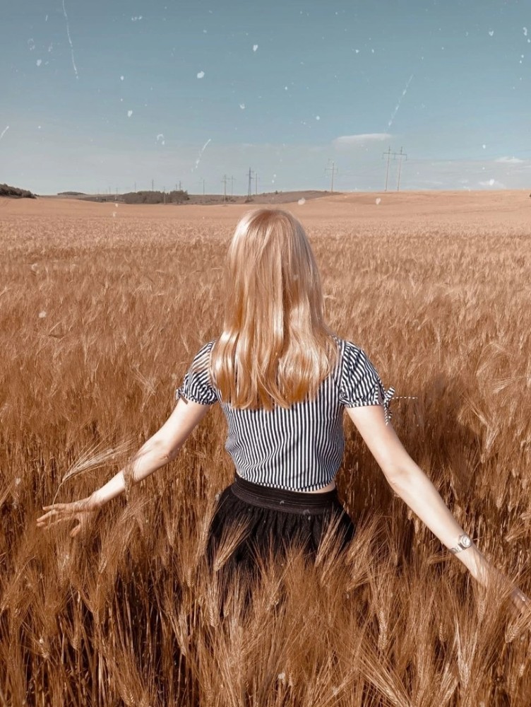 Девушка с пшеничными волосами. Человек в поле пшеницы. Фото в пшенице девушка. Фото в поле с пшеницей девушек. Пшеничная вк