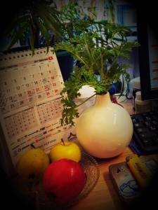 Create meme: still life, seedlings of lemon, Mandarin photos, fruit