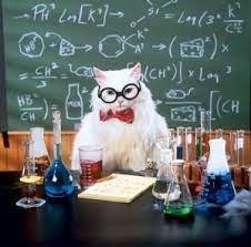 Создать мем: chemistry, кот химия, кот учёный химия