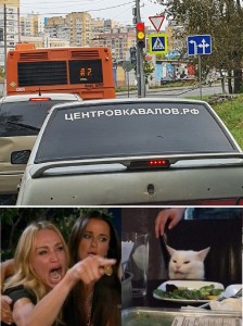 Создать мем: смешные мемы, мем с орущей женщиной и котом, женщина орет на кота