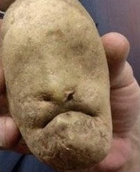 Создать мем: лукашенко и картошка фото, алешка картошка, человек картошка фото
