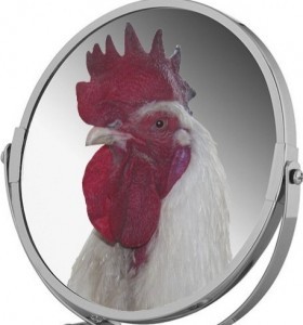 Create meme: the head of the cock, cock in the mirror, rooster