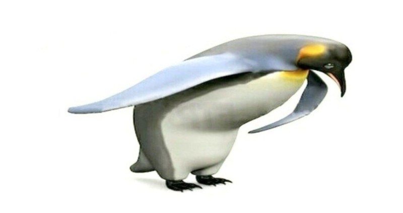 Create meme: the penguin is cute, penguin , penguin bow