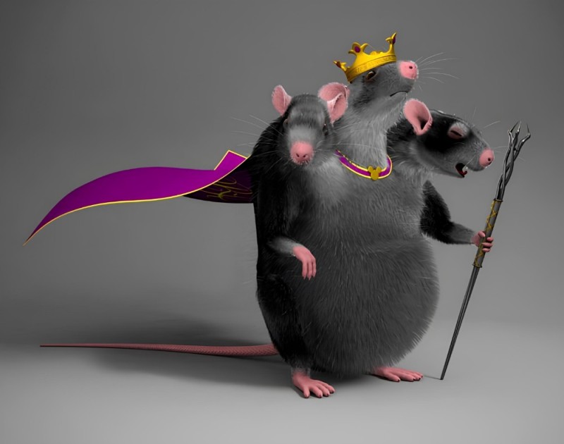 Создать мем: крысиный король, мышка смешная, компьютерная мышь