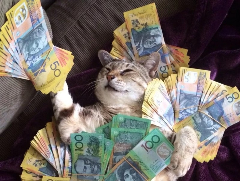 Создать мем: денежный котик, кот с баблом, котик с деньгами