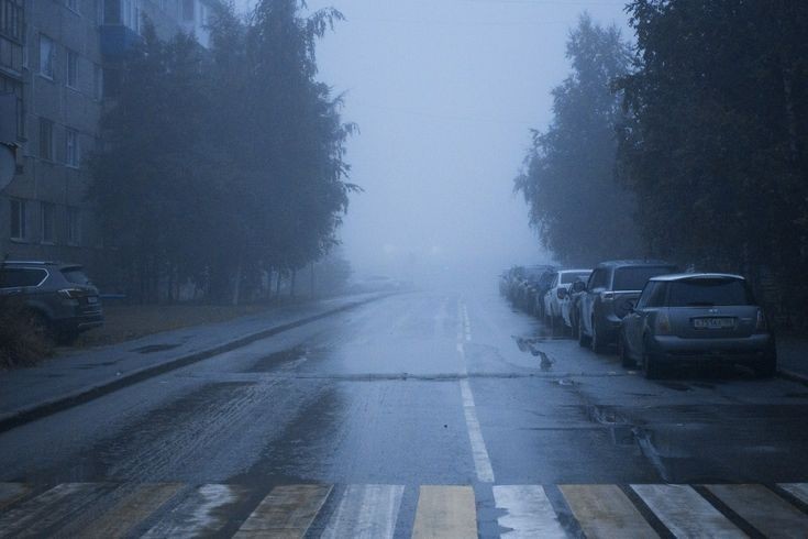 Create meme: fog on the road , rain and fog, rain forest
