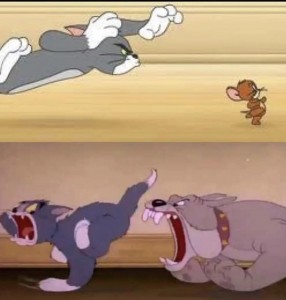 Create meme: spike Tom and Jerry, Tom and Jerry Tom and Jerry, Tom and Jerry the dog