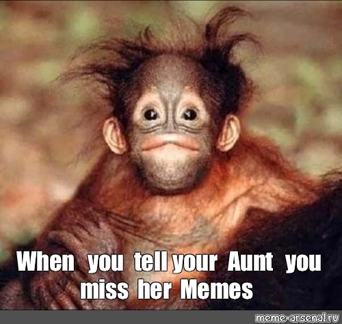 Meme When You Tell Your Aunt You Miss Her Memes All Templates