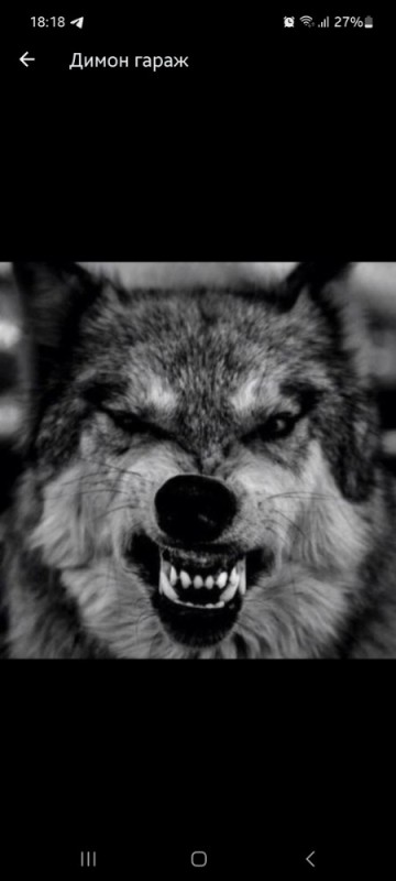 Создать мем: волчий оскал, злой волк, агрессивный волк