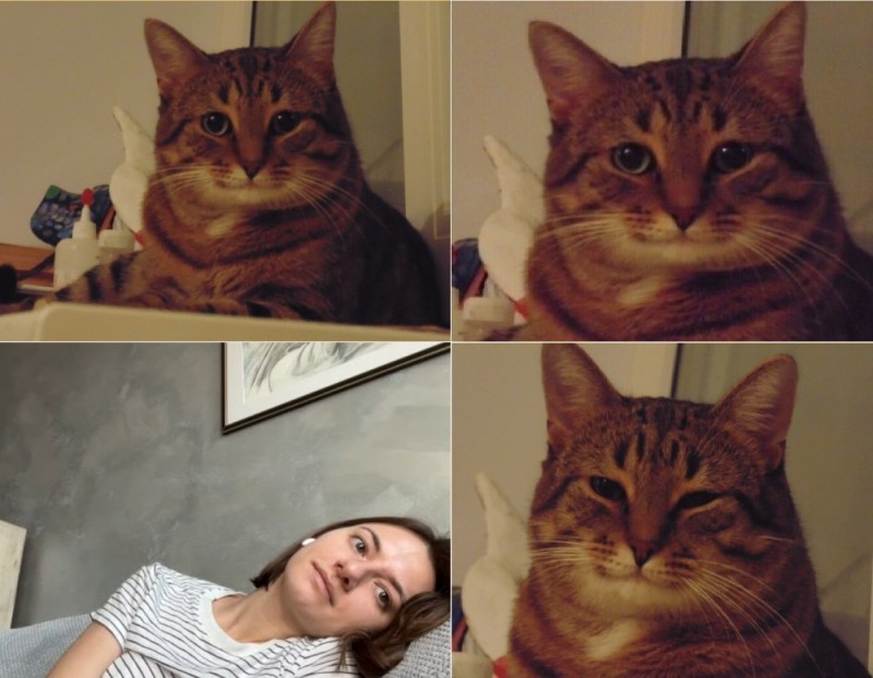 Создать мем: мемы с котами, кот из мема, мемы с котами популярные