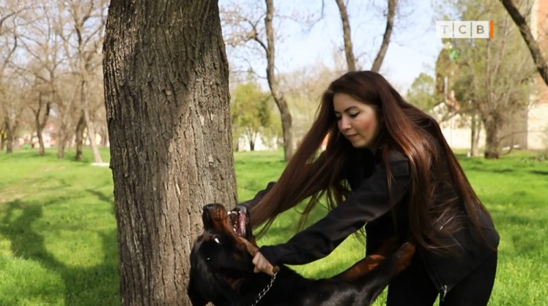 Create meme: girl , people , photo shoot with a doberman