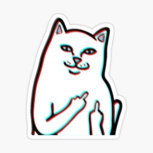 Создать мем: мультяшный кот с факами, кот с факом мем, кот с факью