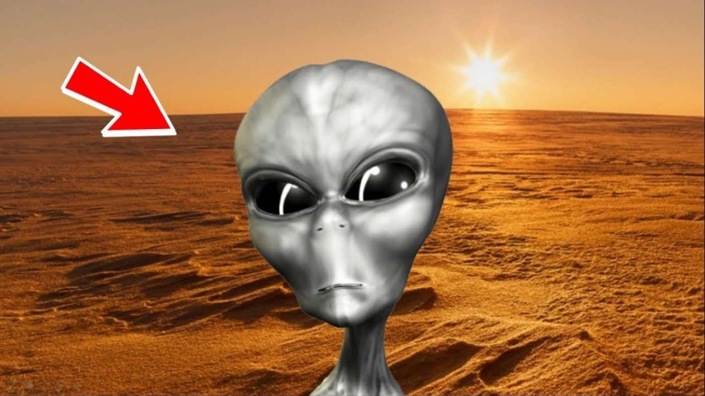 Create meme: alien , The alien UFO, the real aliens