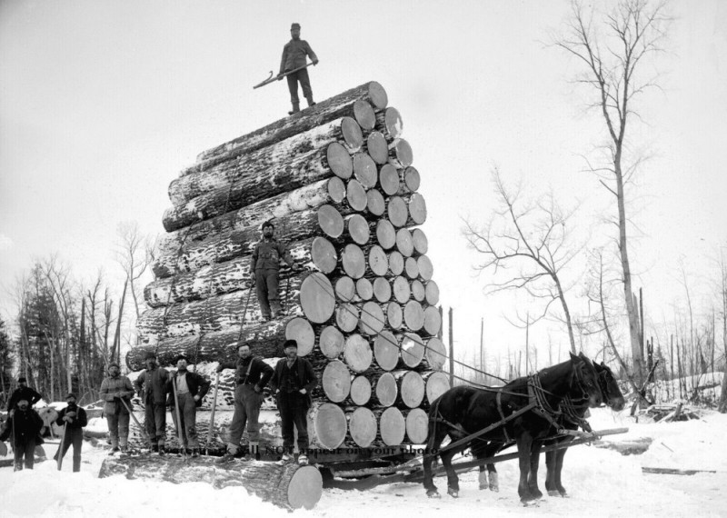 Create meme: logging loggers of the 19th century, loggers in canada 19th century, logging in the Arkhangelsk region in the 30s