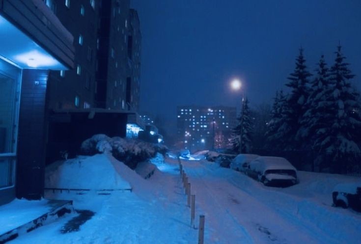 Create meme: winter yard at night, questionnaires, winter night