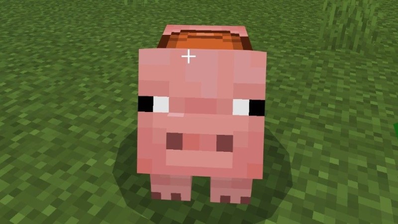 Create meme: piggy in minecraft, a pig in minecraft, tamed a pig in Minecraft