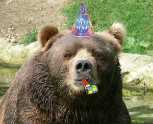Создать мем: кадьяк животное, медведь кадьяк, happy birthday grizzly bear
