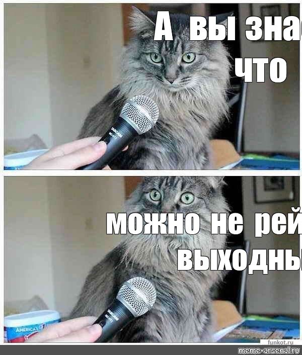 Мем кот можно. А вы знаете что вы кот. Удивленный кот с микрофоном. Мем с котом а вы знали что. А вы знали.