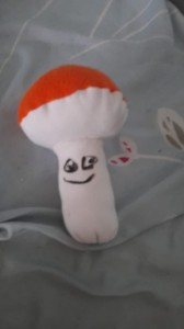 Создать мем: объемный гриб из ткани, красный гриб, грибы из фетра