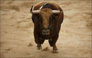 Create meme: bull attacks, fighting bull, BIK