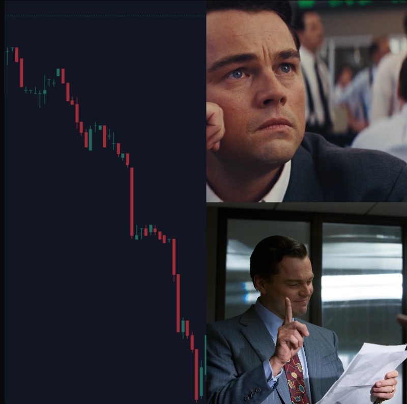 Create meme: the wolf of wall street (2013), dicaprio the wolf, Leonardo DiCaprio the wolf of wall street