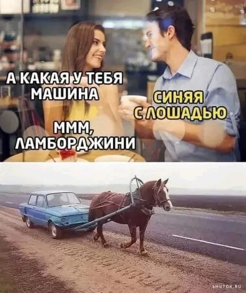 Create meme: What kind of car do you have, a blue one with a horse, a meme about a horse, humor jokes 