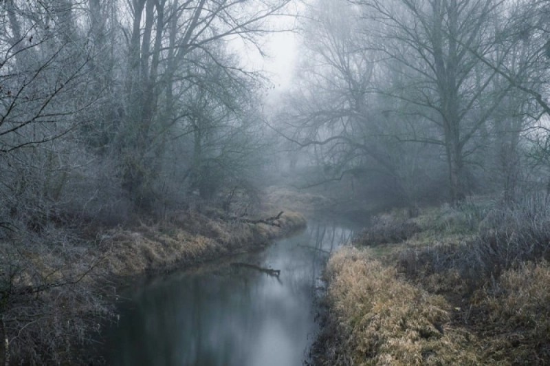 Создать мем: осень туман, природа, природа река