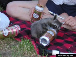 Create meme: booze, Bottle, raccoon