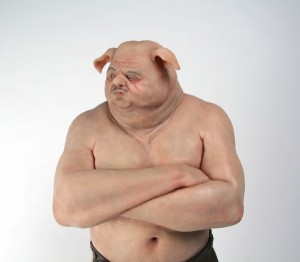 Создать мем: жирная свинья, свинья, человек на свинье