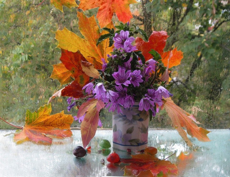 Создать мем: доброе утро осень, цветы осень, красивый осенний букет
