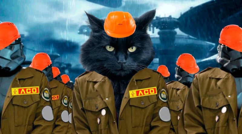 Create meme: ideological, cat in uniform, cat
