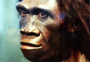 Создать мем: австралопитек питекантроп неандерталец, хомо эректус женская особь, хомо эректус