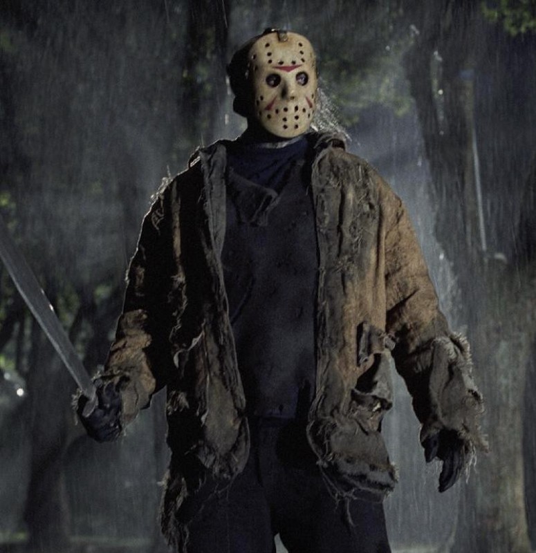 Create meme: of Voorhees, friday the 13th: the game, Jason voorhees game