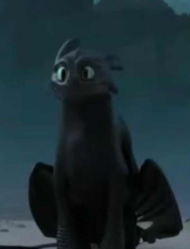 Create meme: toothless the night fury, toothless fury day, cartoon toothless 3