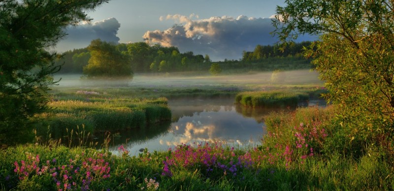 Create meme: morning lake, morning nature, morning river
