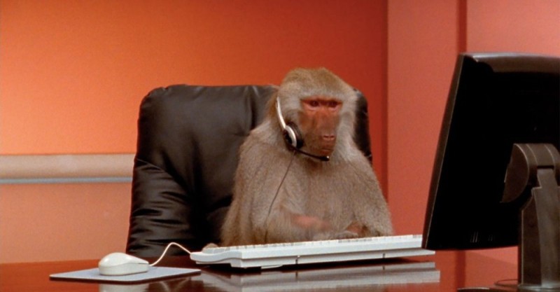 Create meme: a monkey with a phone, webm , monkey 