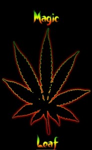Create meme: Rasta cannabis, hemp, hemp leaf exotic