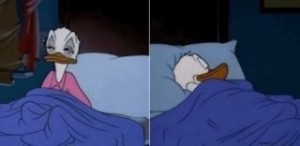 Create meme: Donald duck sleeping, Donald duck meme, Donald duck