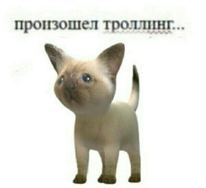 Create meme: the picture has been trolling, occurred potiranie, have been trolling the cat