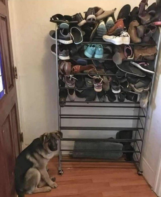 Create meme: shoe shelf, shoe rack, shoe shelves